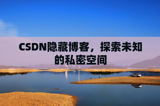 CSDN隐藏博客，探索未知的私密空间